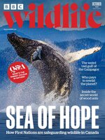 BBC Wildlife Magazine